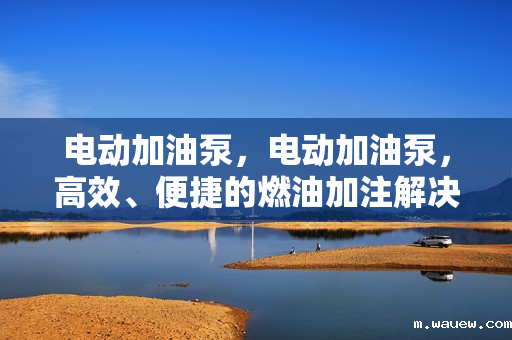 电动加油泵,电动加油泵,高效、便捷的燃油加注解决方案 电动加油泵,电动加油泵,高效、便捷的燃油加注解决方案