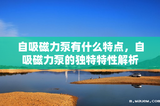 自吸磁力泵有什么特点,自吸磁力泵的独特特性解析 自吸磁力泵有什么特点,自吸磁力泵的独特特性解析