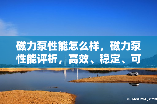 磁力泵性能怎么样,磁力泵性能评析,高效、稳定、可靠的动力传输解决方案 磁力泵性能怎么样,磁力泵性能评析,高效、稳定、可靠的动力传输解决方案