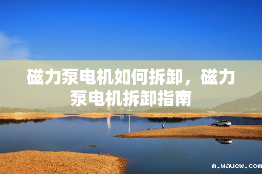 磁力泵电机如何拆卸,磁力泵电机拆卸指南 磁力泵电机如何拆卸,磁力泵电机拆卸指南