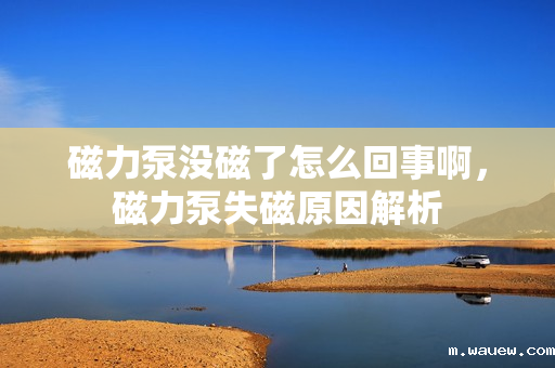 磁力泵没磁了怎么回事啊,磁力泵失磁原因解析 磁力泵没磁了怎么回事啊,磁力泵失磁原因解析