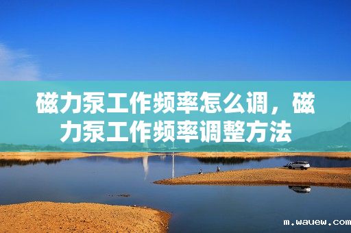 磁力泵工作频率怎么调,磁力泵工作频率调整方法 磁力泵工作频率怎么调,磁力泵工作频率调整方法