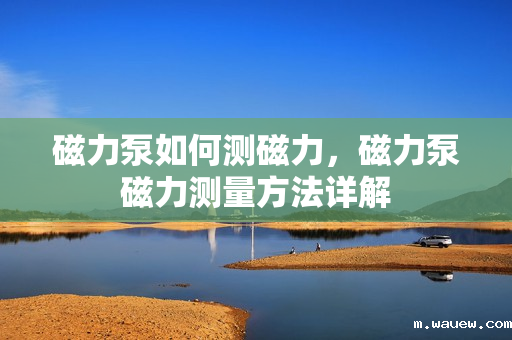磁力泵如何测磁力,磁力泵磁力测量方法详解 磁力泵如何测磁力,磁力泵磁力测量方法详解