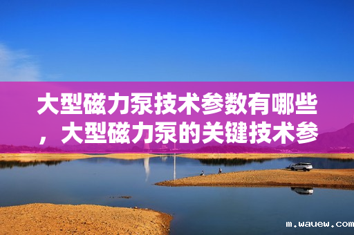 大型磁力泵技术参数有哪些,大型磁力泵的关键技术参数详解 大型磁力泵技术参数有哪些,大型磁力泵的关键技术参数详解