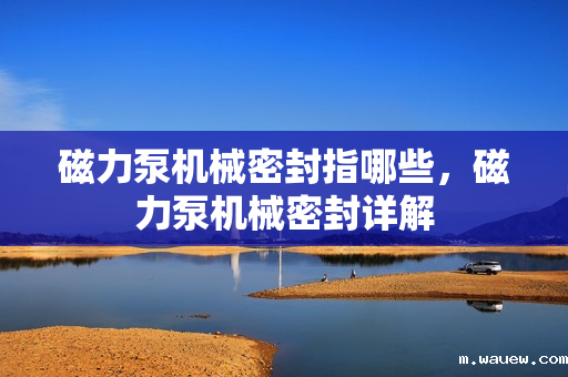 磁力泵机械密封指哪些,磁力泵机械密封详解 磁力泵机械密封指哪些,磁力泵机械密封详解