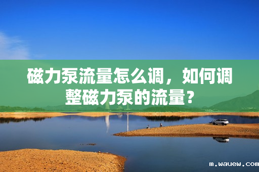 磁力泵流量怎么调,如何调整磁力泵的流量? 磁力泵流量怎么调,如何调整磁力泵的流量?