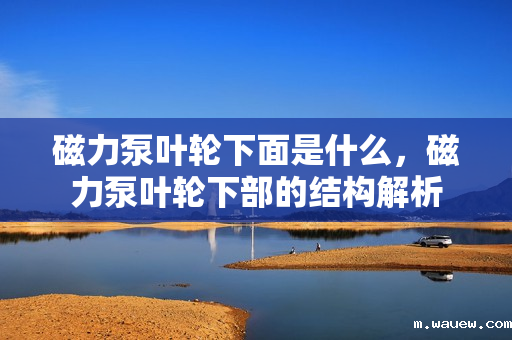 磁力泵叶轮下面是什么,磁力泵叶轮下部的结构解析 磁力泵叶轮下面是什么,磁力泵叶轮下部的结构解析