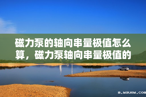 磁力泵的轴向串量极值怎么算,磁力泵轴向串量极值的计算方法 磁力泵的轴向串量极值怎么算,磁力泵轴向串量极值的计算方法