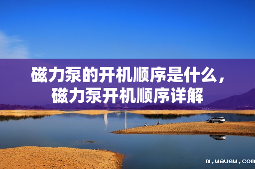 磁力泵的开机顺序是什么,磁力泵开机顺序详解 磁力泵的开机顺序是什么,磁力泵开机顺序详解