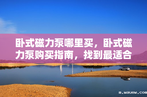 卧式磁力泵哪里买,卧式磁力泵购买指南,找到最适合你的购买渠道 卧式磁力泵哪里买,卧式磁力泵购买指南,找到最适合你的购买渠道