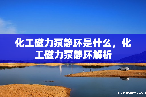 化工磁力泵静环是什么,化工磁力泵静环解析 化工磁力泵静环是什么,化工磁力泵静环解析