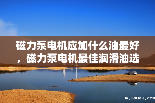 磁力泵电机应加什么油最好,磁力泵电机最佳润滑油选择指南 磁力泵电机应加什么油最好,磁力泵电机最佳润滑油选择指南