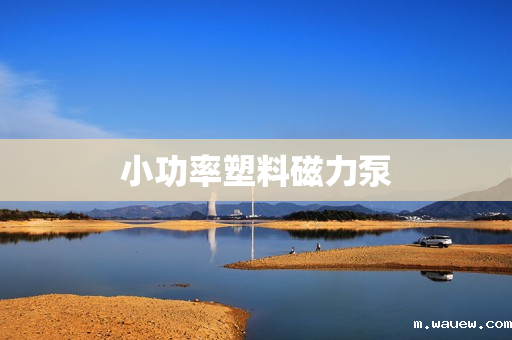 小功率塑料磁力泵 小功率塑料磁力泵