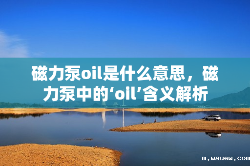磁力泵oil是什么意思,磁力泵中的‘oil’含义解析 磁力泵oil是什么意思,磁力泵中的‘oil’含义解析