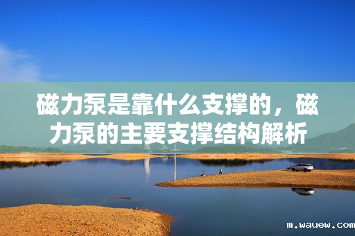 磁力泵是靠什么支撑的,磁力泵的主要支撑结构解析 磁力泵是靠什么支撑的,磁力泵的主要支撑结构解析