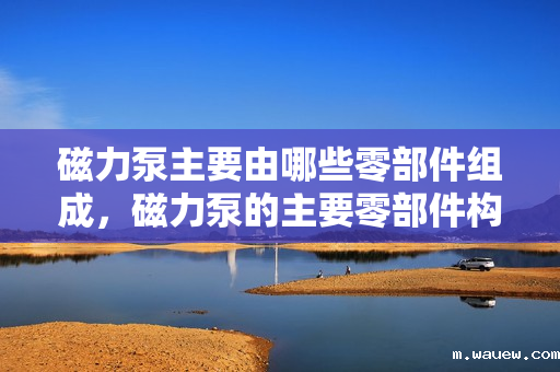 磁力泵主要由哪些零部件组成,磁力泵的主要零部件构成解析 磁力泵主要由哪些零部件组成,磁力泵的主要零部件构成解析