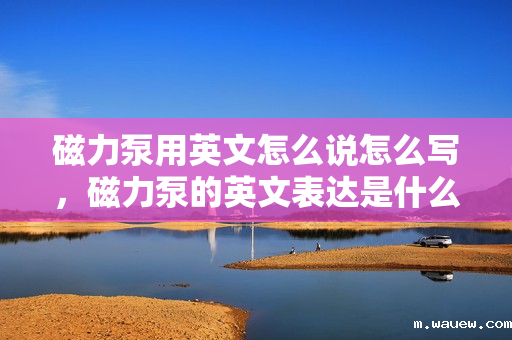 磁力泵用英文怎么说怎么写,磁力泵的英文表达是什么? 磁力泵用英文怎么说怎么写,磁力泵的英文表达是什么?