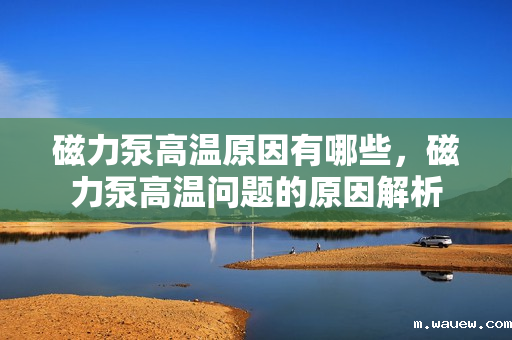 磁力泵高温原因有哪些,磁力泵高温问题的原因解析 磁力泵高温原因有哪些,磁力泵高温问题的原因解析