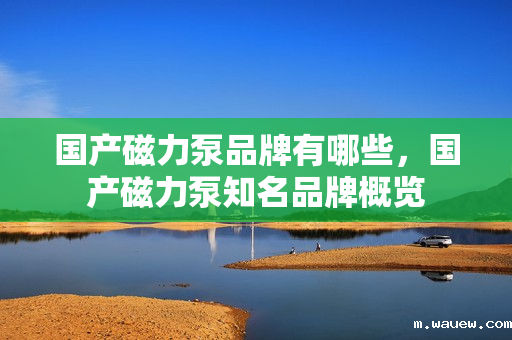 国产磁力泵品牌有哪些,国产磁力泵知名品牌概览 国产磁力泵品牌有哪些,国产磁力泵知名品牌概览