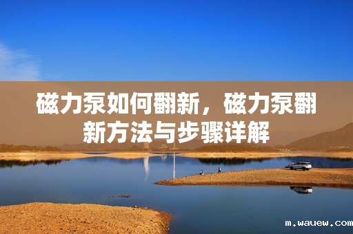 磁力泵如何翻新,磁力泵翻新方法与步骤详解 磁力泵如何翻新,磁力泵翻新方法与步骤详解