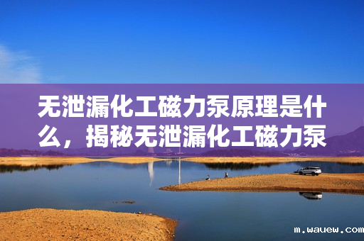 无泄漏化工磁力泵原理是什么,揭秘无泄漏化工磁力泵的工作原理 无泄漏化工磁力泵原理是什么,揭秘无泄漏化工磁力泵的工作原理