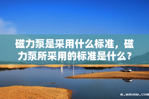 磁力泵是采用什么标准,磁力泵所采用的标准是什么? 磁力泵是采用什么标准,磁力泵所采用的标准是什么?