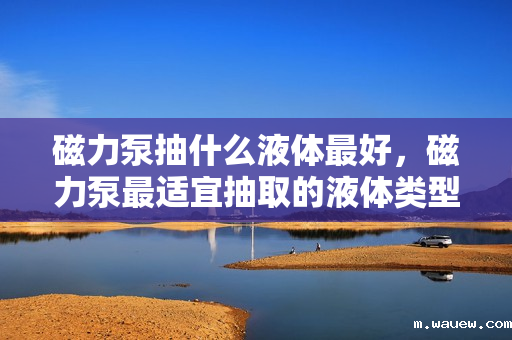 磁力泵抽什么液体最好,磁力泵最适宜抽取的液体类型 磁力泵抽什么液体最好,磁力泵最适宜抽取的液体类型