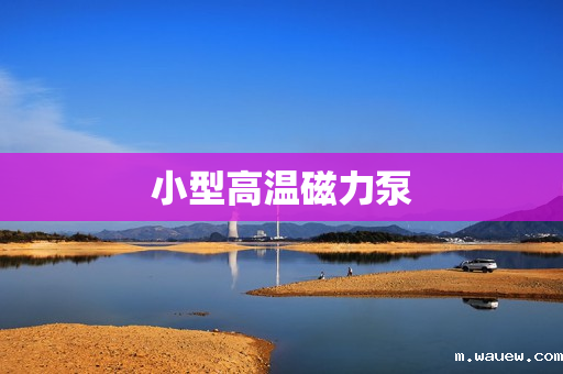 小型高温磁力泵 小型高温磁力泵