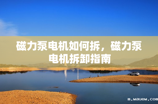 磁力泵电机如何拆,磁力泵电机拆卸指南 磁力泵电机如何拆,磁力泵电机拆卸指南