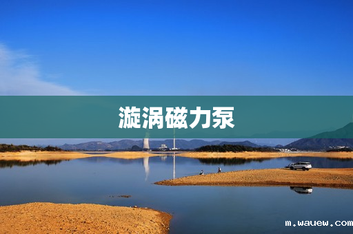 漩涡磁力泵 漩涡磁力泵