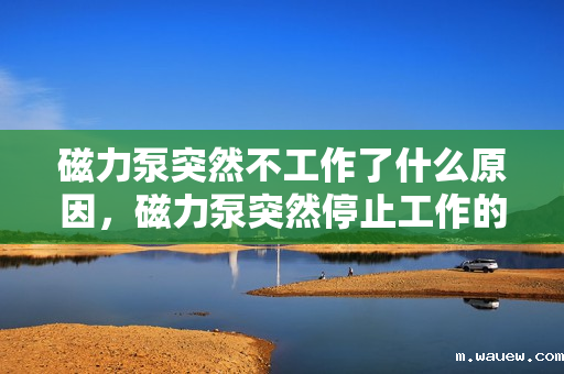 磁力泵突然不工作了什么原因,磁力泵突然停止工作的可能原因解析 磁力泵突然不工作了什么原因,磁力泵突然停止工作的可能原因解析