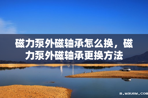 磁力泵外磁轴承怎么换,磁力泵外磁轴承更换方法 磁力泵外磁轴承怎么换,磁力泵外磁轴承更换方法