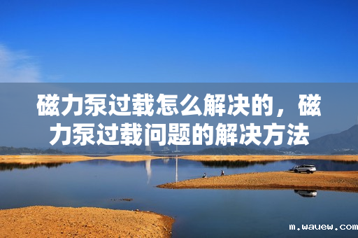 磁力泵过载怎么解决的,磁力泵过载问题的解决方法 磁力泵过载怎么解决的,磁力泵过载问题的解决方法
