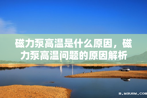 磁力泵高温是什么原因,磁力泵高温问题的原因解析 磁力泵高温是什么原因,磁力泵高温问题的原因解析