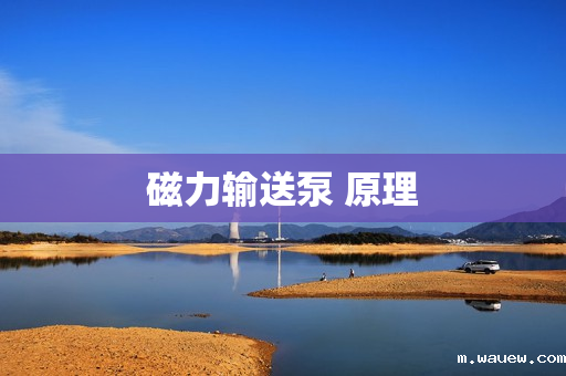 磁力输送泵 原理 磁力输送泵 原理