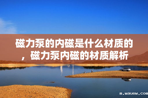 磁力泵的内磁是什么材质的,磁力泵内磁的材质解析 磁力泵的内磁是什么材质的,磁力泵内磁的材质解析