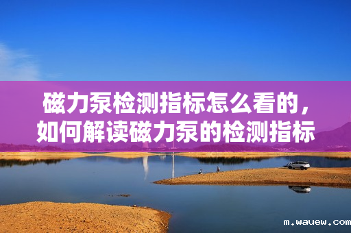 磁力泵检测指标怎么看的,如何解读磁力泵的检测指标? 磁力泵检测指标怎么看的,如何解读磁力泵的检测指标?