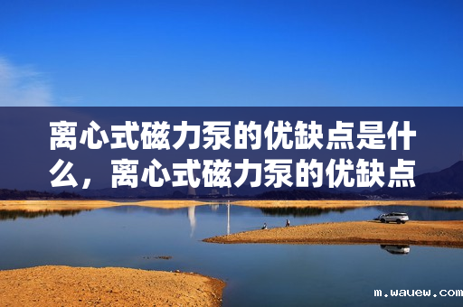 离心式磁力泵的优缺点是什么,离心式磁力泵的优缺点详解 离心式磁力泵的优缺点是什么,离心式磁力泵的优缺点详解