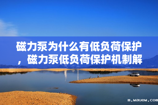 磁力泵为什么有低负荷保护,磁力泵低负荷保护机制解析 磁力泵为什么有低负荷保护,磁力泵低负荷保护机制解析