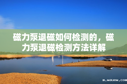 磁力泵退磁如何检测的,磁力泵退磁检测方法详解 磁力泵退磁如何检测的,磁力泵退磁检测方法详解