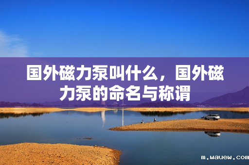 国外磁力泵叫什么,国外磁力泵的命名与称谓 国外磁力泵叫什么,国外磁力泵的命名与称谓