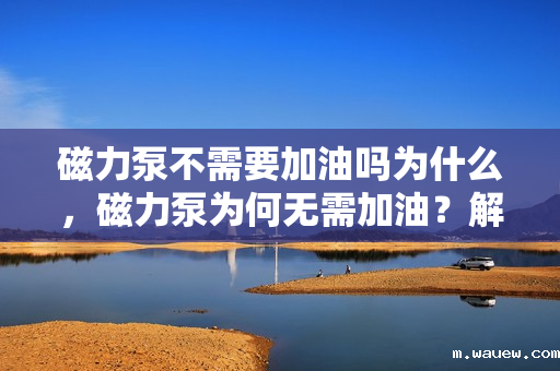 磁力泵不需要加油吗为什么,磁力泵为何无需加油?解析其工作原理与优势 磁力泵不需要加油吗为什么,磁力泵为何无需加油?解析其工作原理与优势