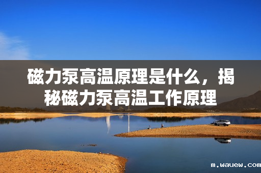 磁力泵高温原理是什么,揭秘磁力泵高温工作原理 磁力泵高温原理是什么,揭秘磁力泵高温工作原理