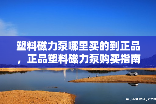 塑料磁力泵哪里买的到正品,正品塑料磁力泵购买指南,找到可信赖的购买渠道 塑料磁力泵哪里买的到正品,正品塑料磁力泵购买指南,找到可信赖的购买渠道