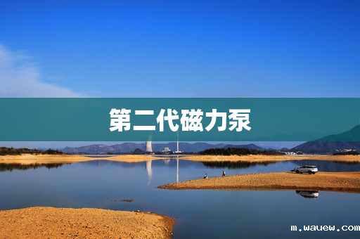 第二代磁力泵 第二代磁力泵