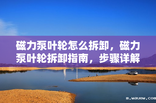 磁力泵叶轮怎么拆卸,磁力泵叶轮拆卸指南,步骤详解与注意事项 磁力泵叶轮怎么拆卸,磁力泵叶轮拆卸指南,步骤详解与注意事项