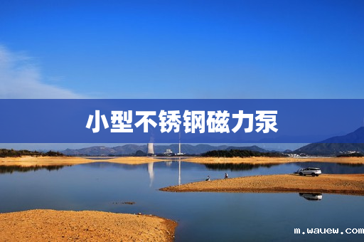 小型不锈钢磁力泵 小型不锈钢磁力泵