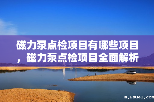 磁力泵点检项目有哪些项目,磁力泵点检项目全面解析 磁力泵点检项目有哪些项目,磁力泵点检项目全面解析