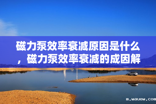 磁力泵效率衰减原因是什么,磁力泵效率衰减的成因解析 磁力泵效率衰减原因是什么,磁力泵效率衰减的成因解析