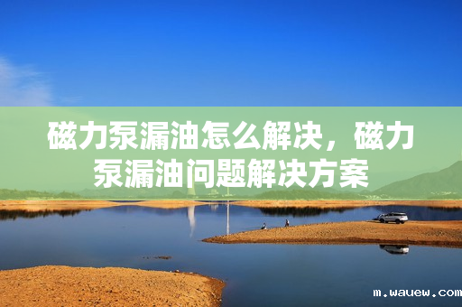 磁力泵漏油怎么解决,磁力泵漏油问题解决方案 磁力泵漏油怎么解决,磁力泵漏油问题解决方案